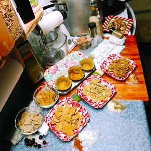 Homemade wellness bits.. (doggie treats)